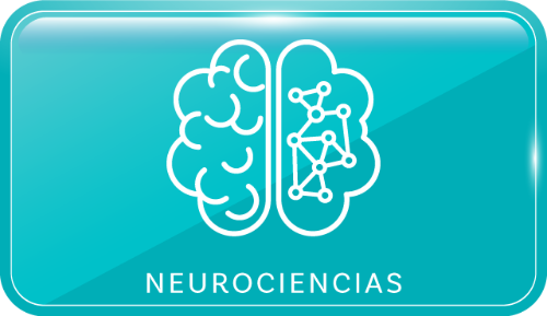Herramientas para aplicar las neurociencias en el aula